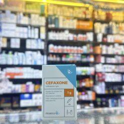 CEFAXONE 1GM VIAL IM