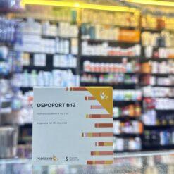 DEPOFORTE B12 5AMP