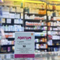 FORTUM 1GM VIAL