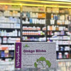 GINKGO BILOBA 30 CAP